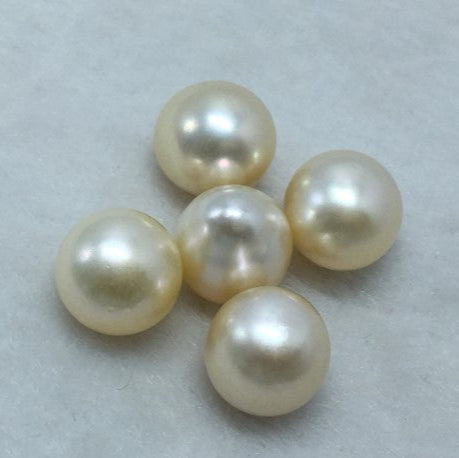 South Sea Pearl | Cream Color| Button / Drop/ Oval Shape| 13.5 MM (Approx.) Size