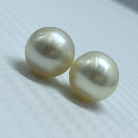South Sea Pearl | Light Golden Color| Button Shape| 11.5 MM (Approx.) Size
