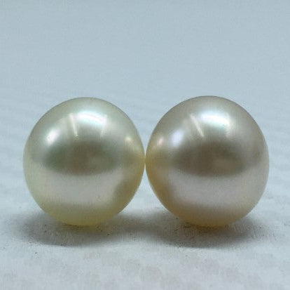 South Sea Pearl | Cream Color| Button Shape| 11.5MM Size