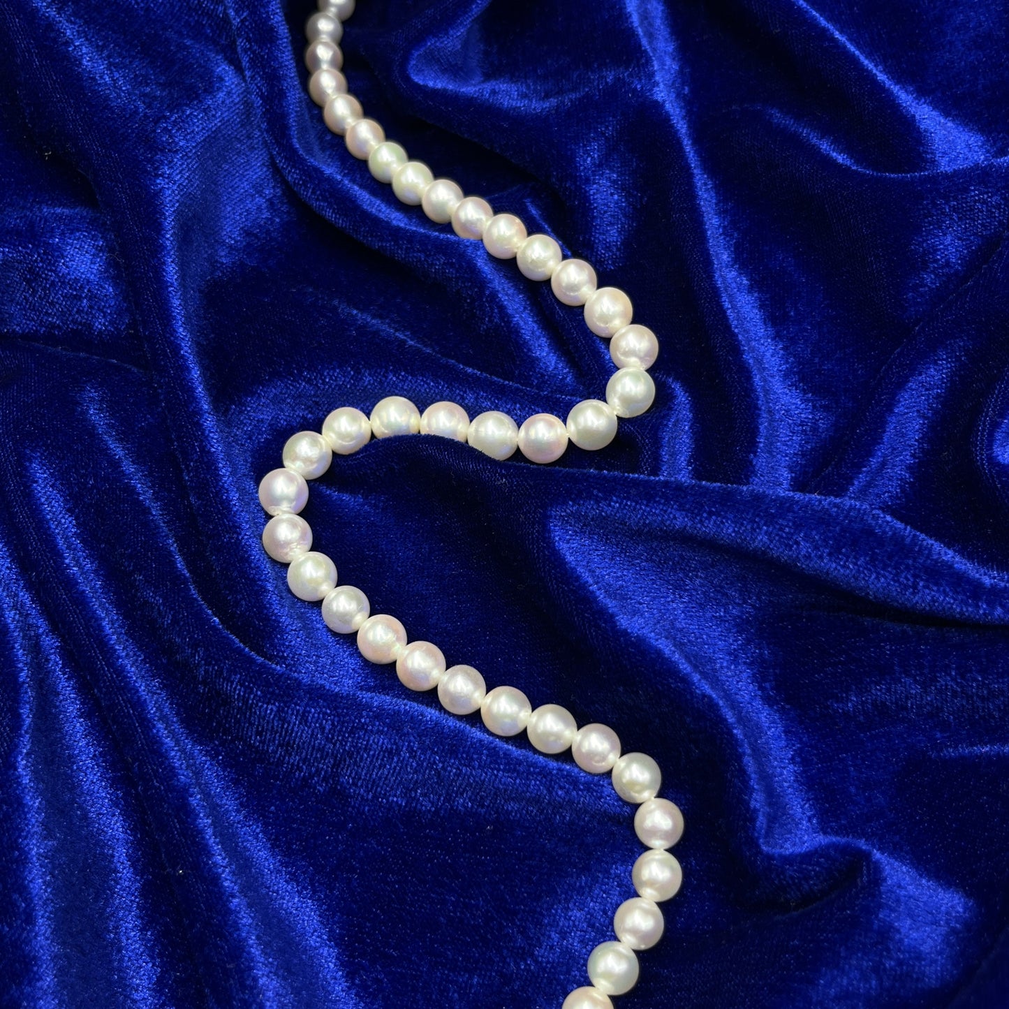 Akoya Pearl Off White Color, Round Shape, AAA Luster Pearl, 6.5-8.5 MM Size