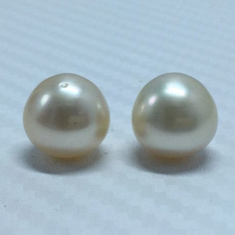 South Sea Pearl | Light Golden Color| Button Shape| 11.5 MM (Approx.) Size
