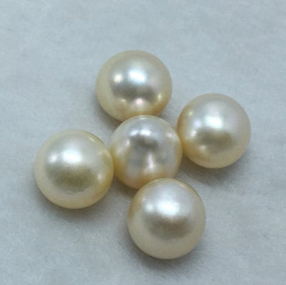 South Sea Pearl | Cream Color| Button / Drop/ Oval Shape| 13.5 MM (Approx.) Size