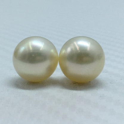 South Sea Pearl | Cream Color | Oval Shape| 11.5MM (Approx.) Size