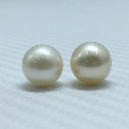 South Sea Pearl | Light Golden Color| Button Shape| 11 MM Size