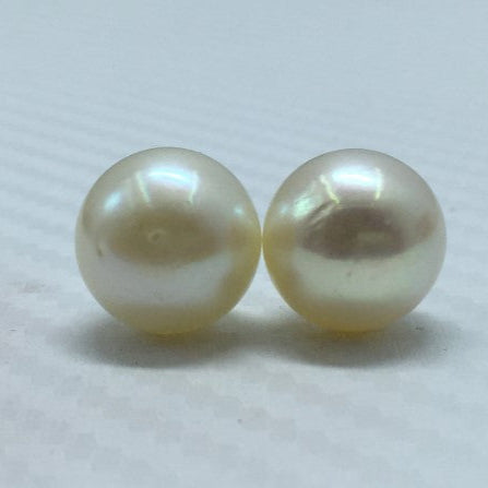 South Sea Pearl | Cream Color| Oval Shape| 12MM (Approx.) Size