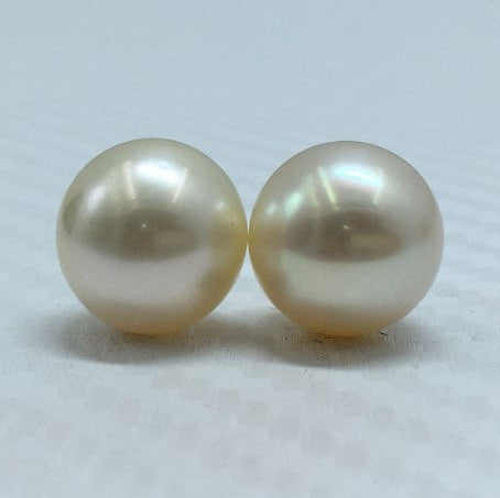 South Sea Pearl | Cream Color | Oval Shape| 11.25MM (Approx.) Size