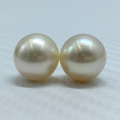 South Sea Pearl | Cream Color | Oval Shape| 11.25MM (Approx.) Size