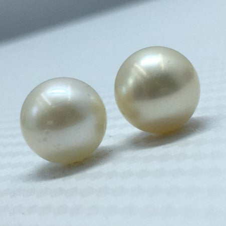 South Sea Pearl | Light Golden Color| Button Shape| 11 MM Size