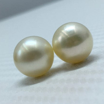 South Sea Pearl | Cream Color | Oval Shape| 11.5MM (Approx.) Size