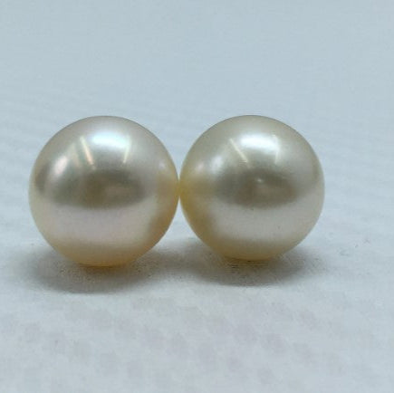 South Sea Pearl | Cream Color | Oval Shape| 11.5MM (Approx.) Size