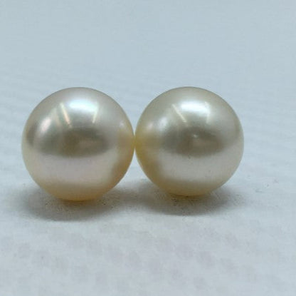 South Sea Pearl | Cream Color | Oval Shape| 11.5MM (Approx.) Size