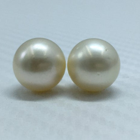 South Sea Pearl | Light Golden Color| Button Shape| 12 MM (Approx.) Size