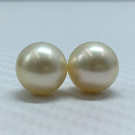 South Sea Pearl | Cream Color| Near Round Shape| 11.80MM (Approx.) Size