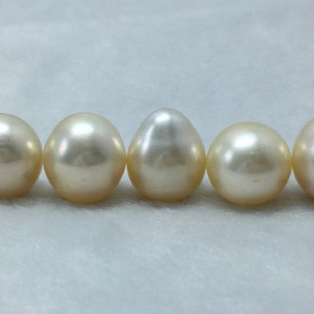 South Sea Pearl | Cream Color| Button / Drop/ Oval Shape| 13.5 MM (Approx.) Size