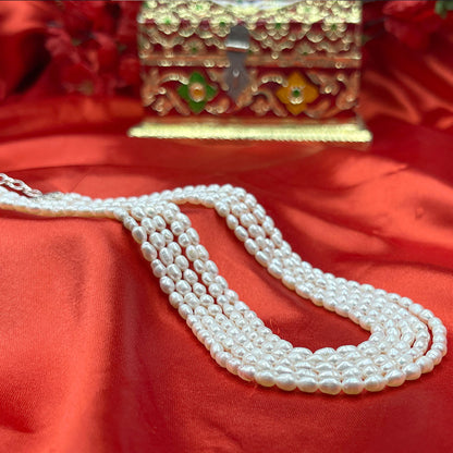 Elegant Freshwater Pearl Necklace with Silver Clasp