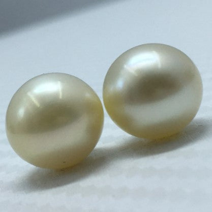 South Sea Pearl | Light Golden Color| Button; Shape| 11.5MM