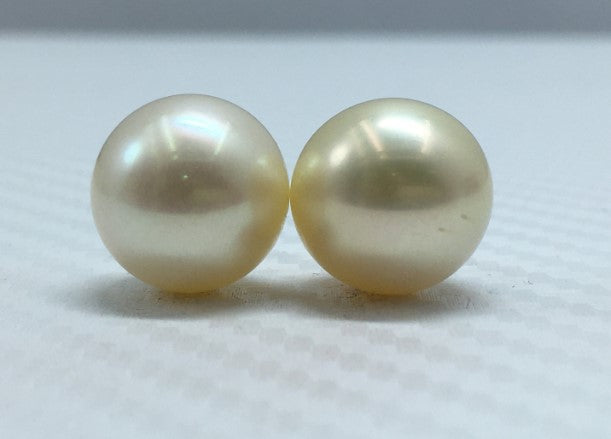South Sea Pearl | Cream Color| Oval Shape| 11.25MM (Approx.) Size
