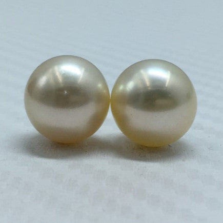 South Sea Pearl | Cream Color | Oval Shape| 11.25MM (Approx.) Size