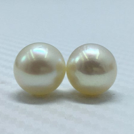 South Sea Pearl | Cream Color| Oval Shape| 12MM (Approx.) Size