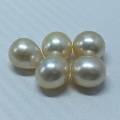 South Sea Pearl | Cream Color| Button / Drop/ Oval Shape| 13.5 MM (Approx.) Size