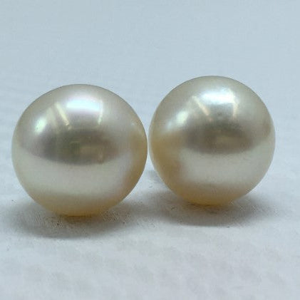 South Sea Pearl | Cream Color | Oval Shape| 11.5MM  Size
