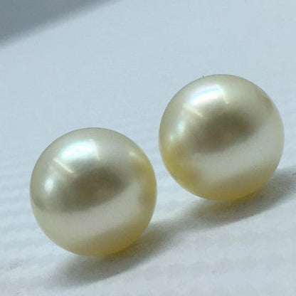 South Sea Pearl | Cream Color| Oval Shape| 12MM (Approx.) Size |