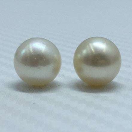 South Sea Pearl | Light Golden Color| Button Shape| 11 MM Size