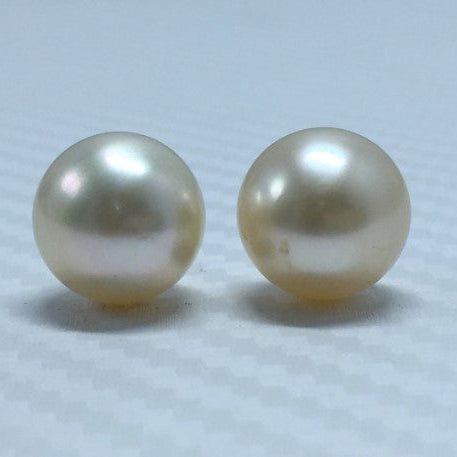 South Sea Pearl | Light Golden Color| Button Shape| 11.5 MM (Approx.) Size