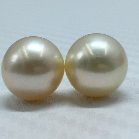 South Sea Pearl | Cream Color| Oval Shape| 11.5MM (Approx.) Size