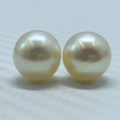 South Sea Pearl | Cream Color| Oval Shape| 12MM (Approx.) Size