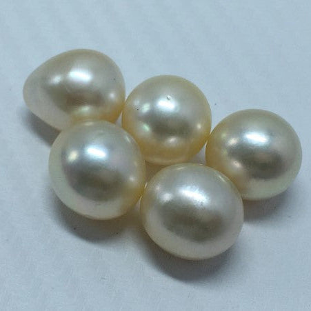 South Sea Pearl | Cream Color| Button / Drop/ Oval Shape| 13.5 MM (Approx.) Size