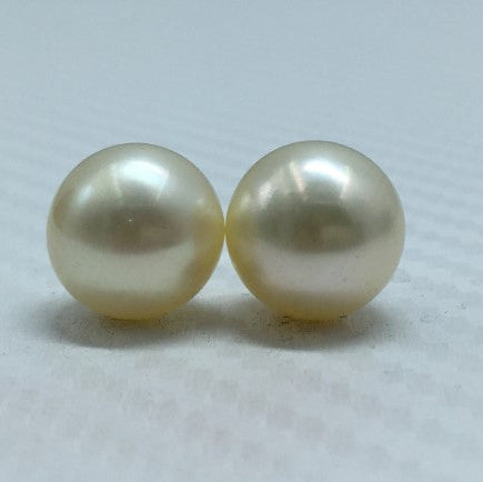 South Sea Pearl | Cream Color | Oval Shape| 11.5MM (Approx.) Size