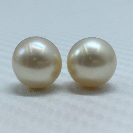 South Sea Pearl | Cream Color | Oval Shape| 11.5MM  Size