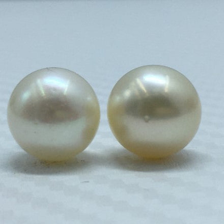 South Sea Pearl | Light Golden Color| Button Shape| 11 MM Size