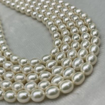 Fresh Water Pearl Cream Color, Rice Shape, Good Luster Pearl 7 MM Size