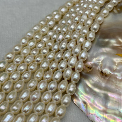 Fresh Water Pearl Cream Color, Rice Shape, AA Luster Pearl, 5-5.5 MM Size
