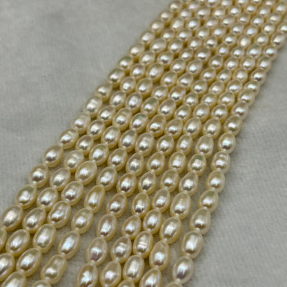 Fresh Water Pearl Cream Color, Rice Shape, AA Luster Pearl, 5-5.5 MM Size