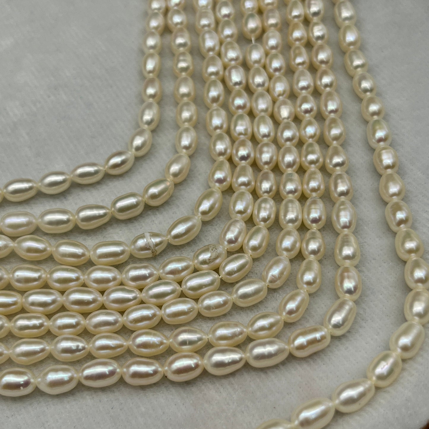 Fresh Water Pearl Cream Color, Rice Shape, AA Luster Pearl, 5-5.5 MM Size