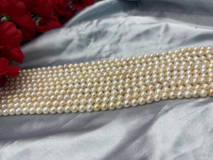 Freshwater Pearl , Cream Color, Round Shape, 6.5mm Size