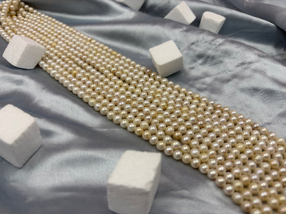 Freshwater Pearl , Cream Color, Round Shape, 6.5mm Size