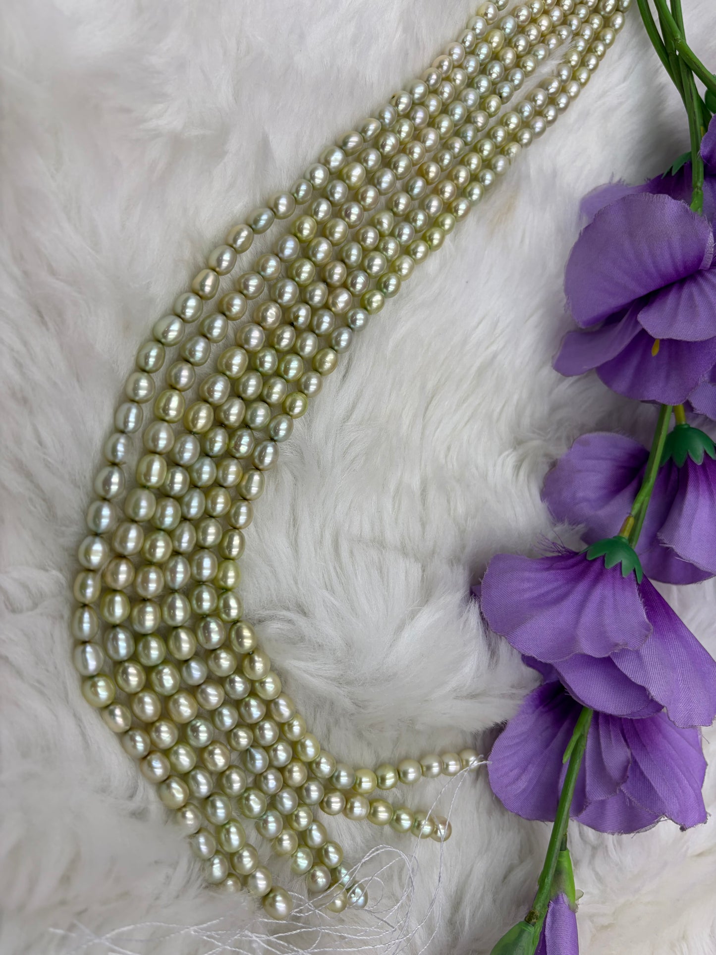 Freshwater Pearl , Light Green Color, Rice Shape, 7-8m Size