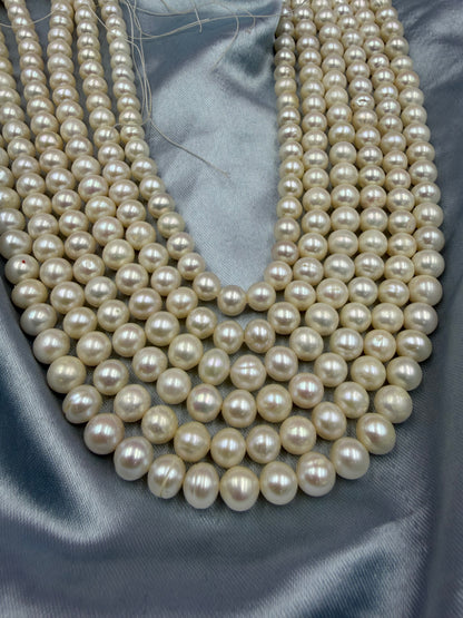 Freshwater Pearl , White Color, Round Shape, 7-8mm Size