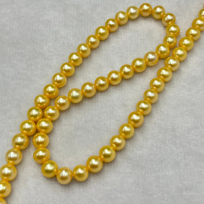 Fresh Water Pearl, Golden Color, Round Shape, 6.5-7 MM Size