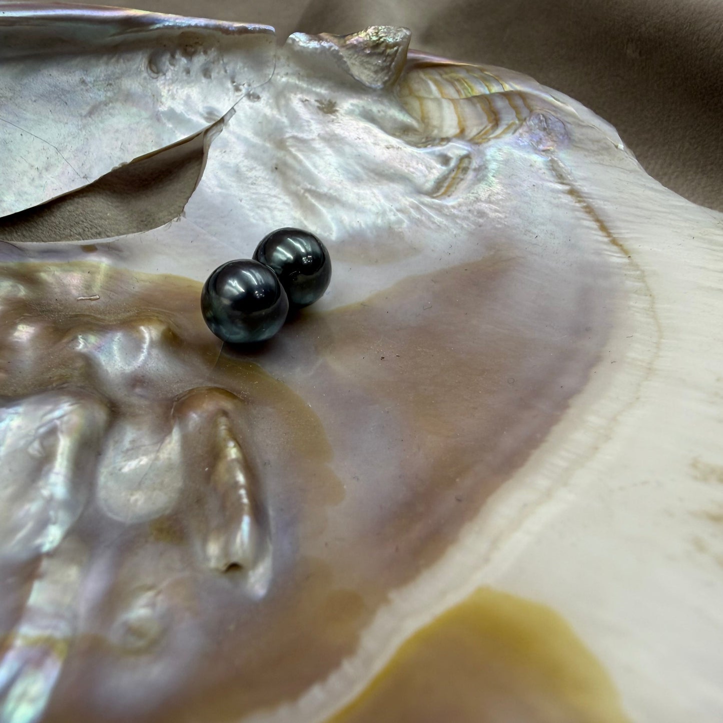Natural Loose Tahitian Black Pearl | Round Genuine Cultured Pearl | High Luster Pearl for Fine Jewelry Making