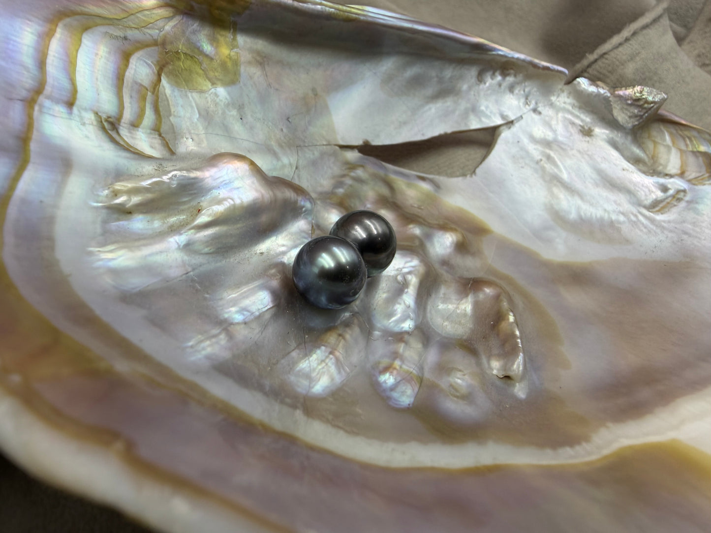 Natural Loose Tahitian Black Pearl | Round Genuine Cultured Pearl | High Luster Pearl for Fine Jewelry Making
