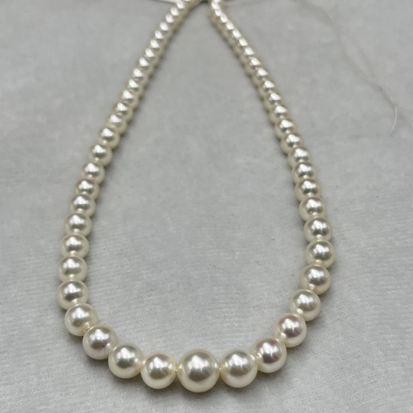 Akoya Pearl Off White Color, Round Shape, AAA Luster Pearl, 6-9.5 MM Size
