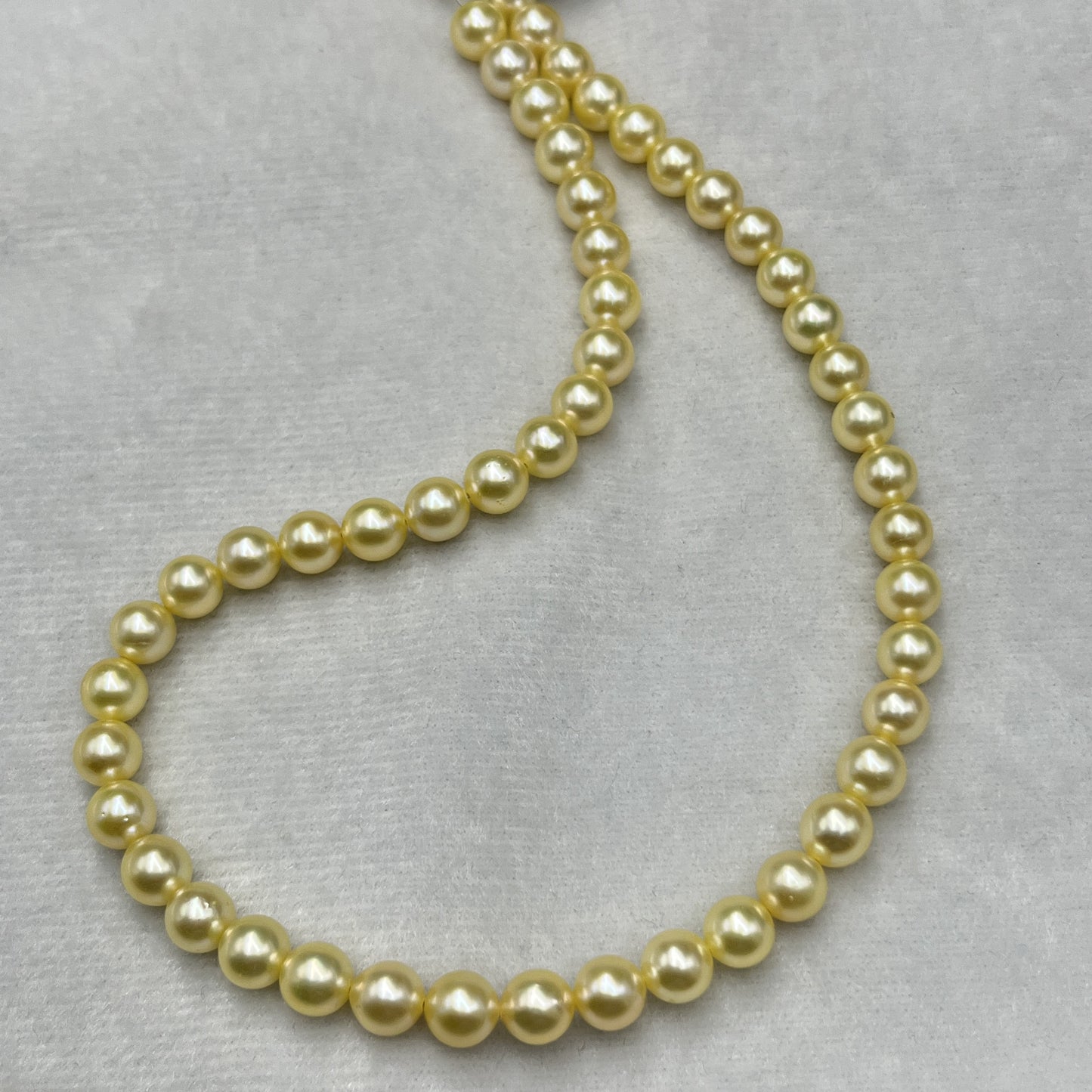 Akoya Pearl Light Golden Color, Round Shape, AAA Luster Pearl, 7-8 MM Size