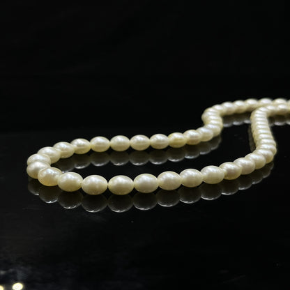 Akoya Pearl Cream Color, Round Shape, AAA Luster Pearl, 5-5.5 MM Size