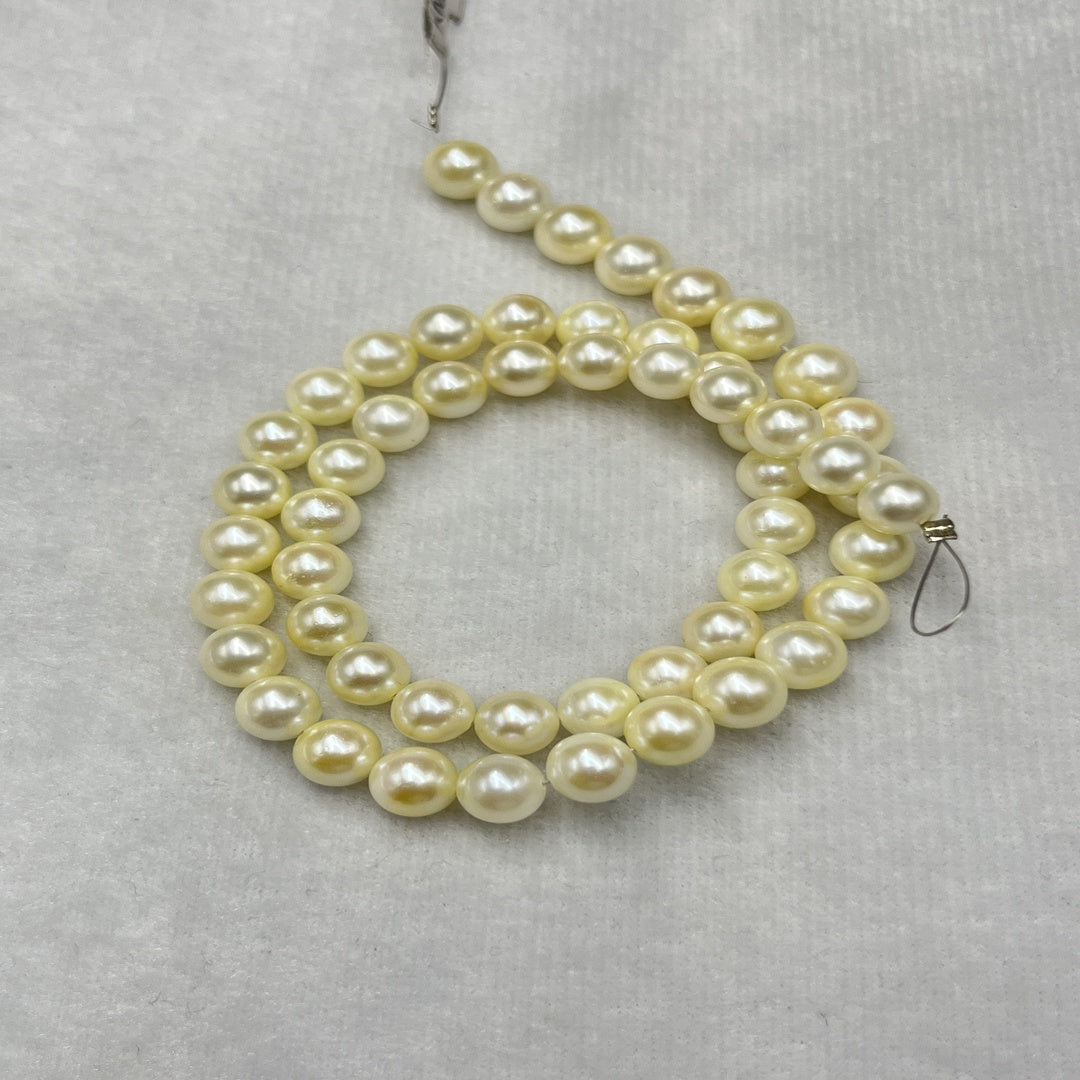 Akoya Pearl Cream Color, Round Shape, AAA Luster Pearl, 5-5.5 MM Size