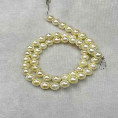 Akoya Pearl Cream Color, Round Shape, AAA Luster Pearl, 5-5.5 MM Size